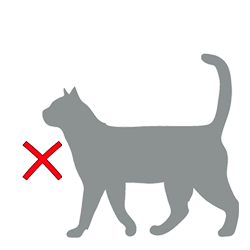 RedCat