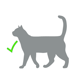 greenCat