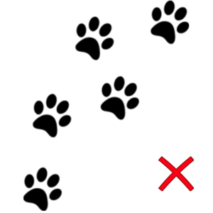 pattes-chat-rouge