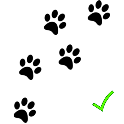 pattes-chats-vert